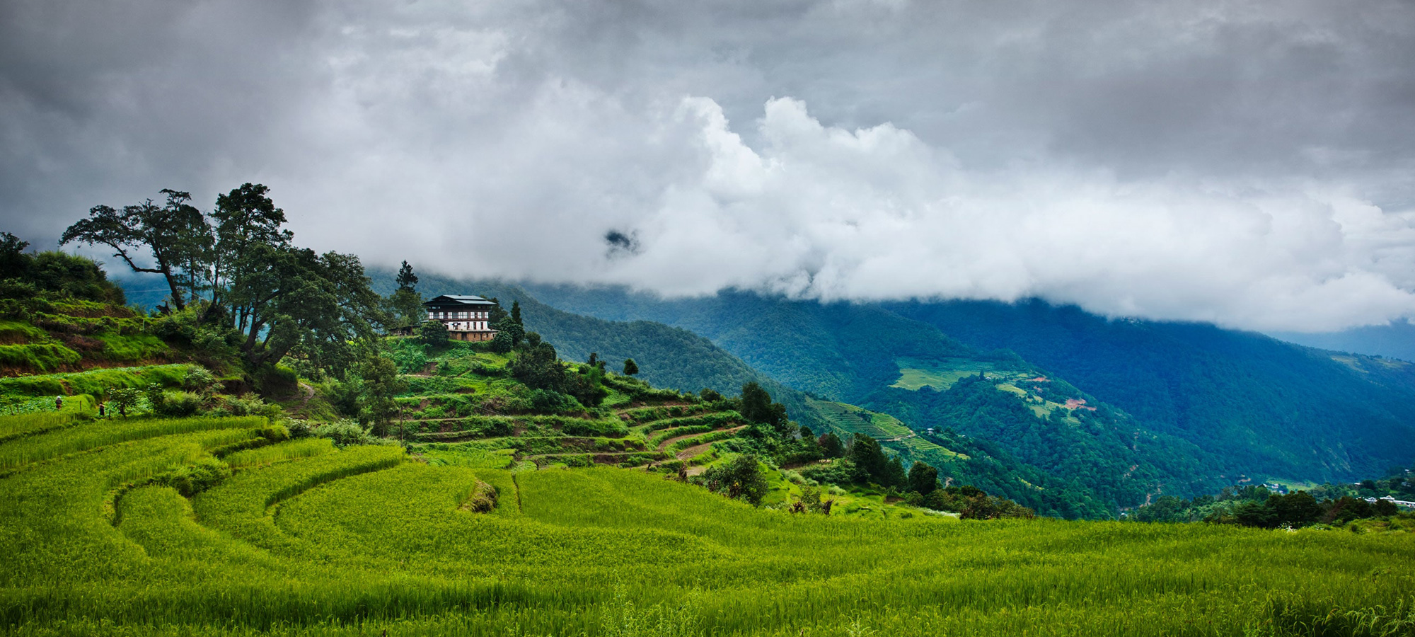 uma-punakha-bhutan-valley