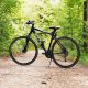Mountain Biking